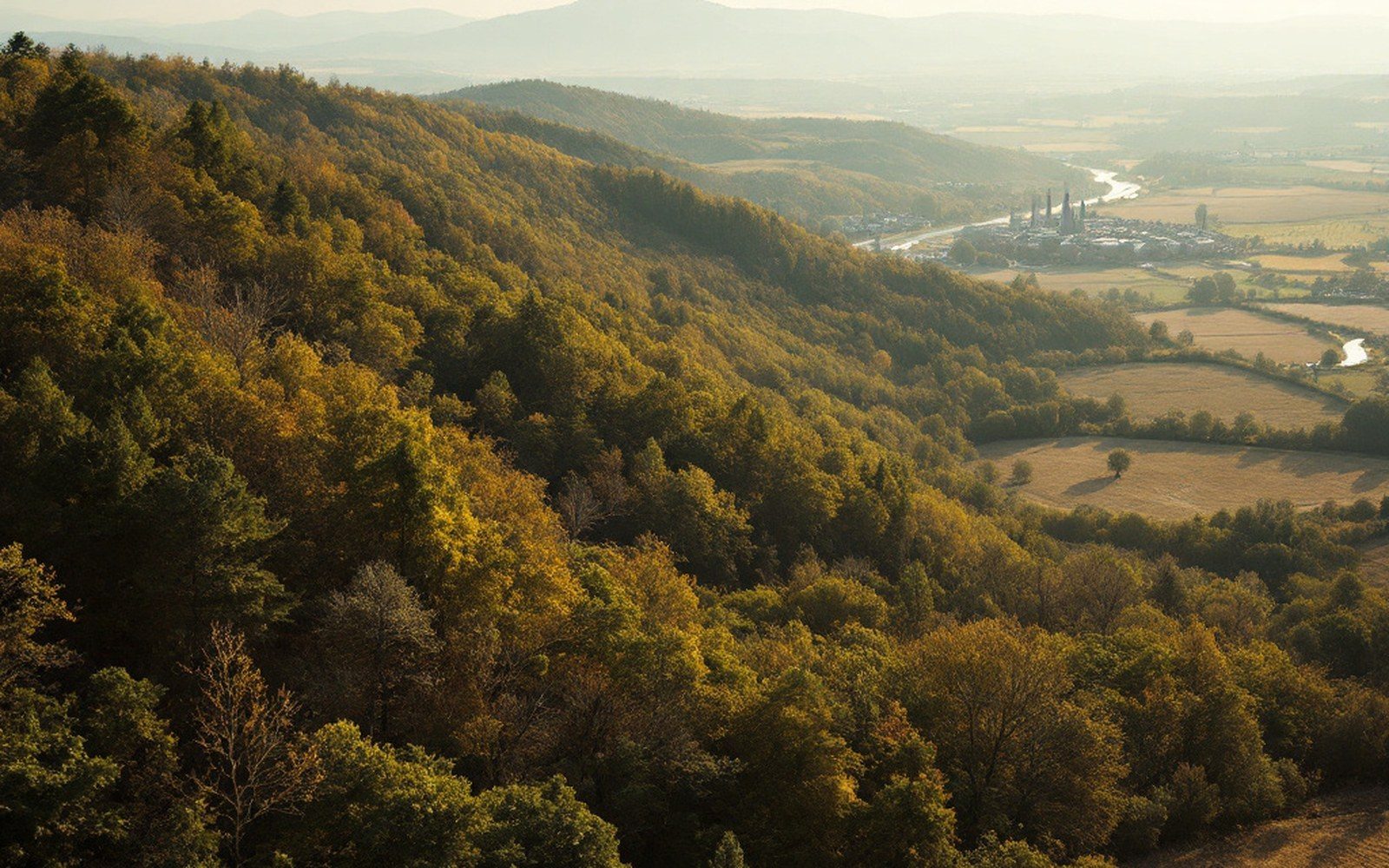 A low wooded ridge above cleared farmland, flat afternoon light